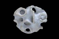 Eponge fossile (Plocoscyphia labrosa, Turonien, Crétacé) 